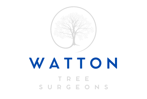 Watton Tree Surgeons